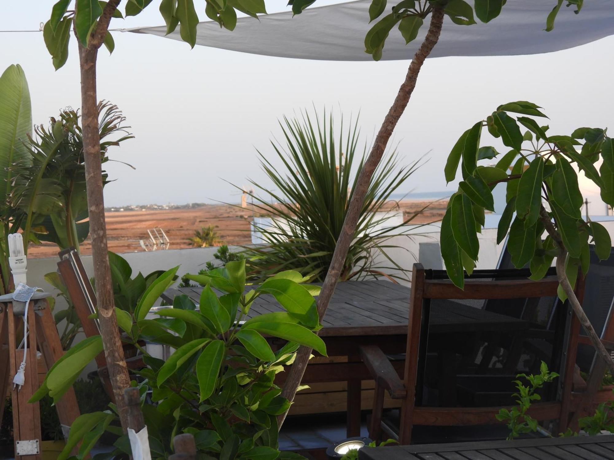Aba Dali Appartement Conil De La Frontera Buitenkant foto